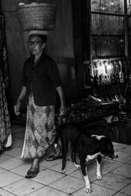 Bali Dogs of the Pasar - Bali Street Photographer