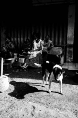 I love Bali Dogs - Bali Street Photographer